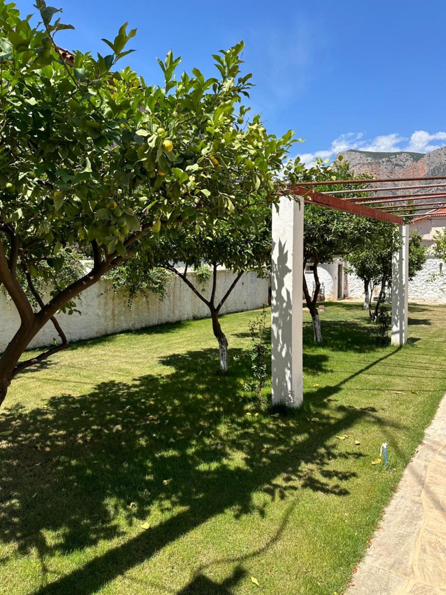 הוילה לאונידיון Alexander House 2 מראה חיצוני תמונה