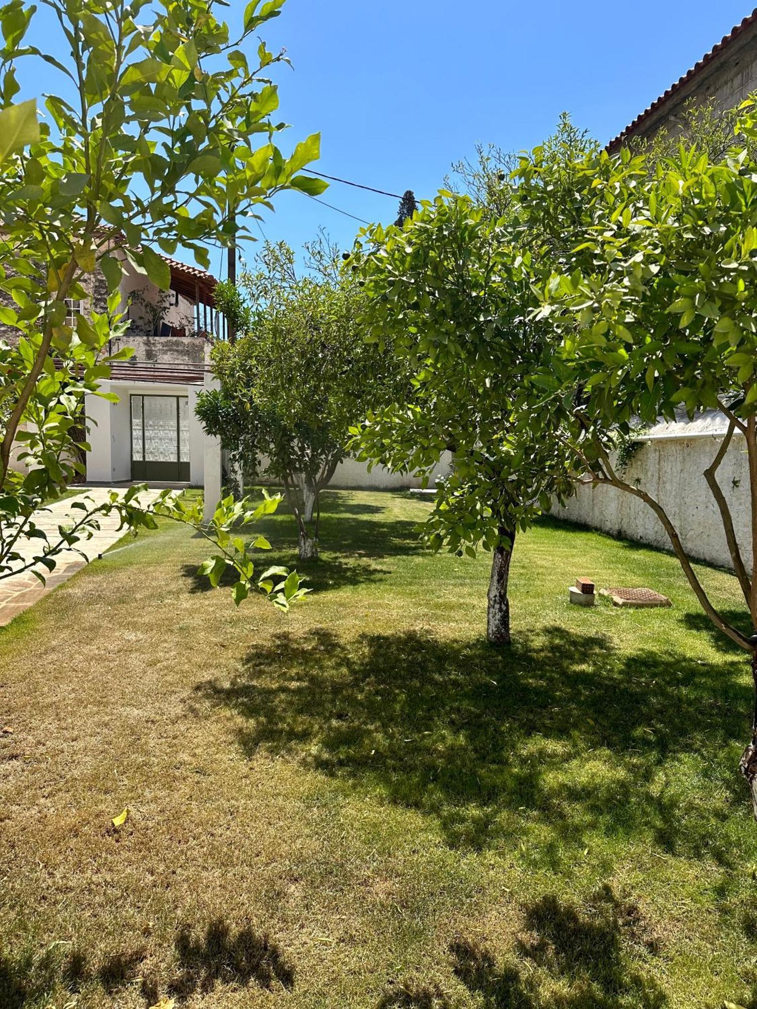 הוילה לאונידיון Alexander House 2 מראה חיצוני תמונה